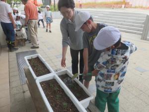 人権の花4