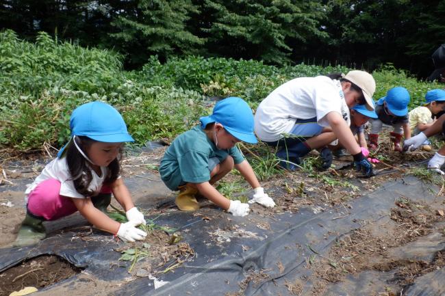 地域交流　じゃかいも植え