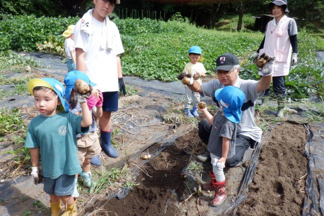 地域交流　じゃがいも収穫