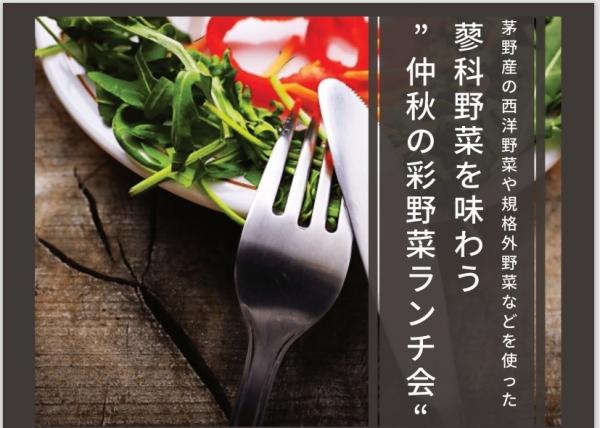蓼科野菜ランチ会