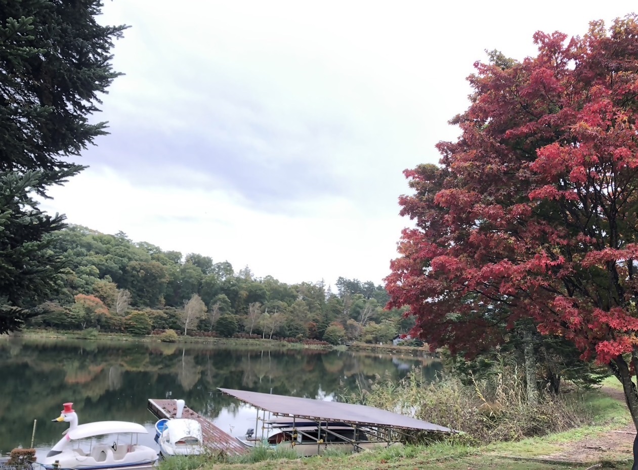蓼科湖　色づき始め