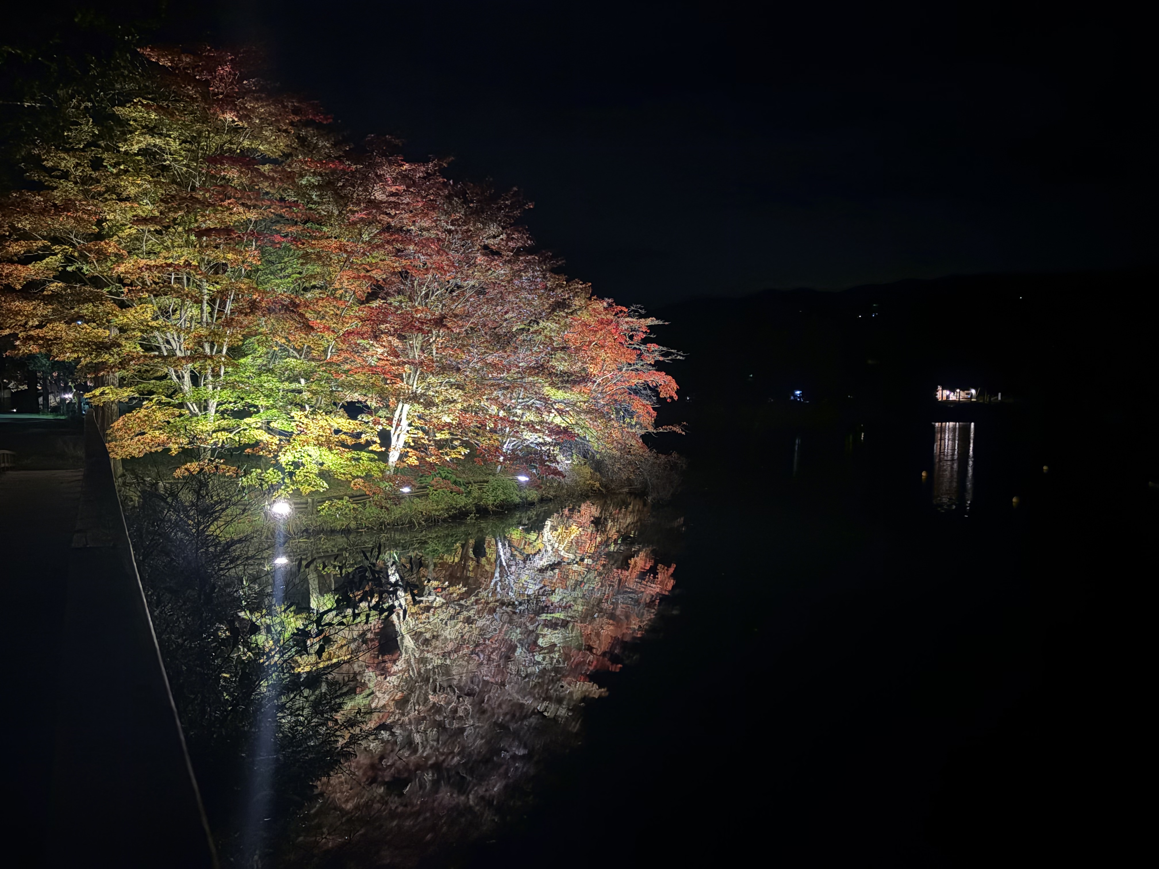蓼科湖　ライトアップ