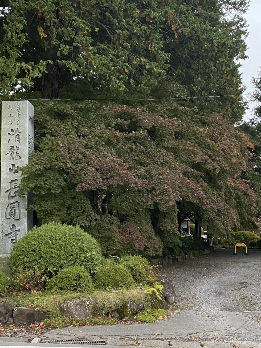 長円寺　色づき始め