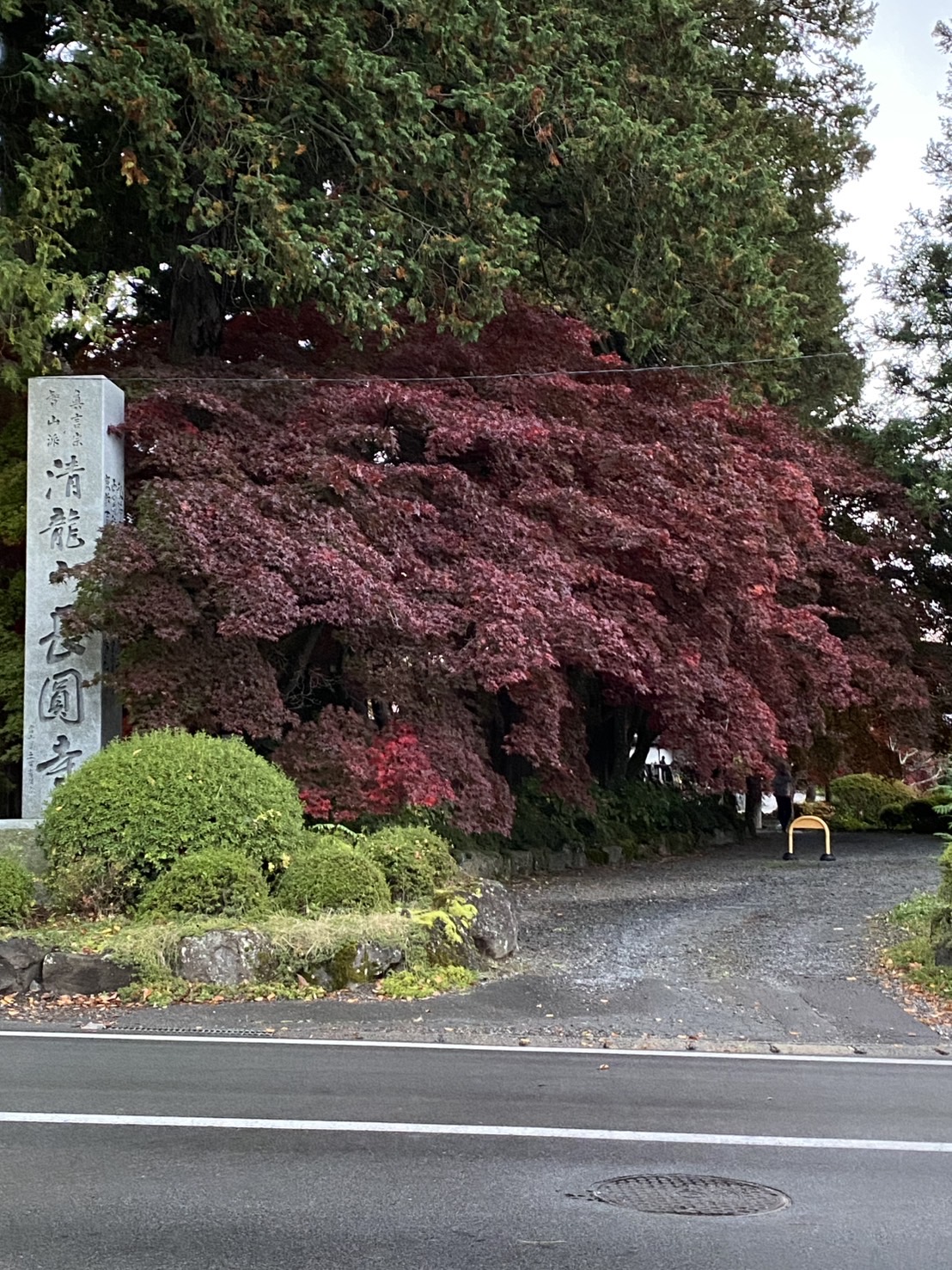 長円寺 3～5分