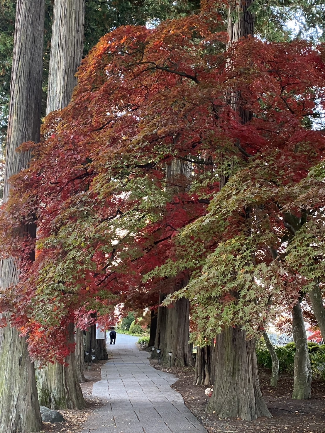 長円寺　3~5分