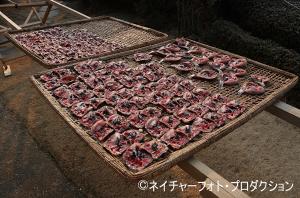 すずめ焼き