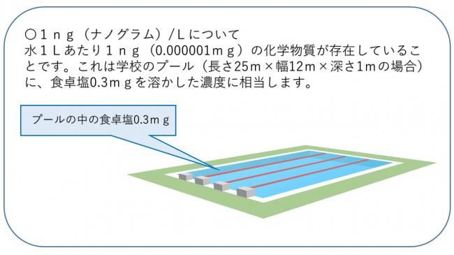 プール画像