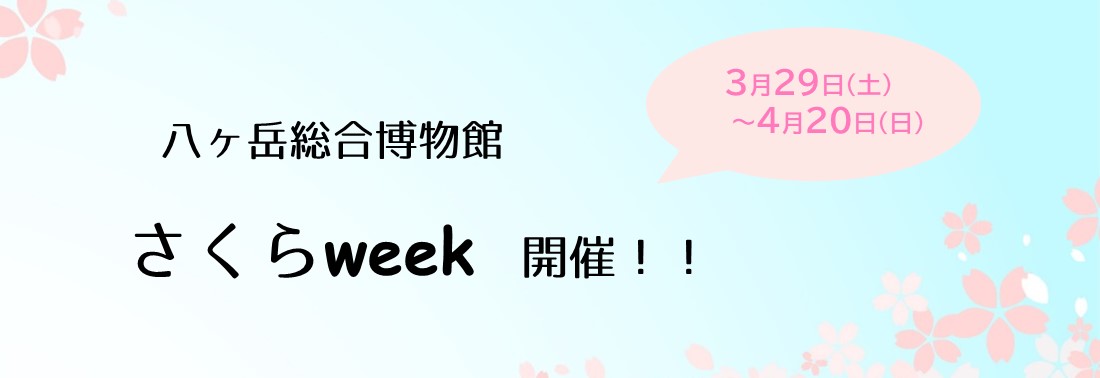 八ヶ岳総合博物館　さくらweek