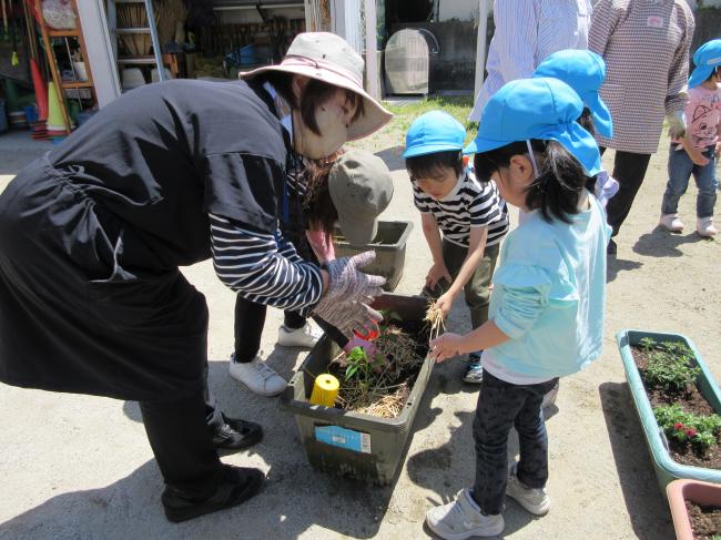 地域交流　ねっこの会　花植え