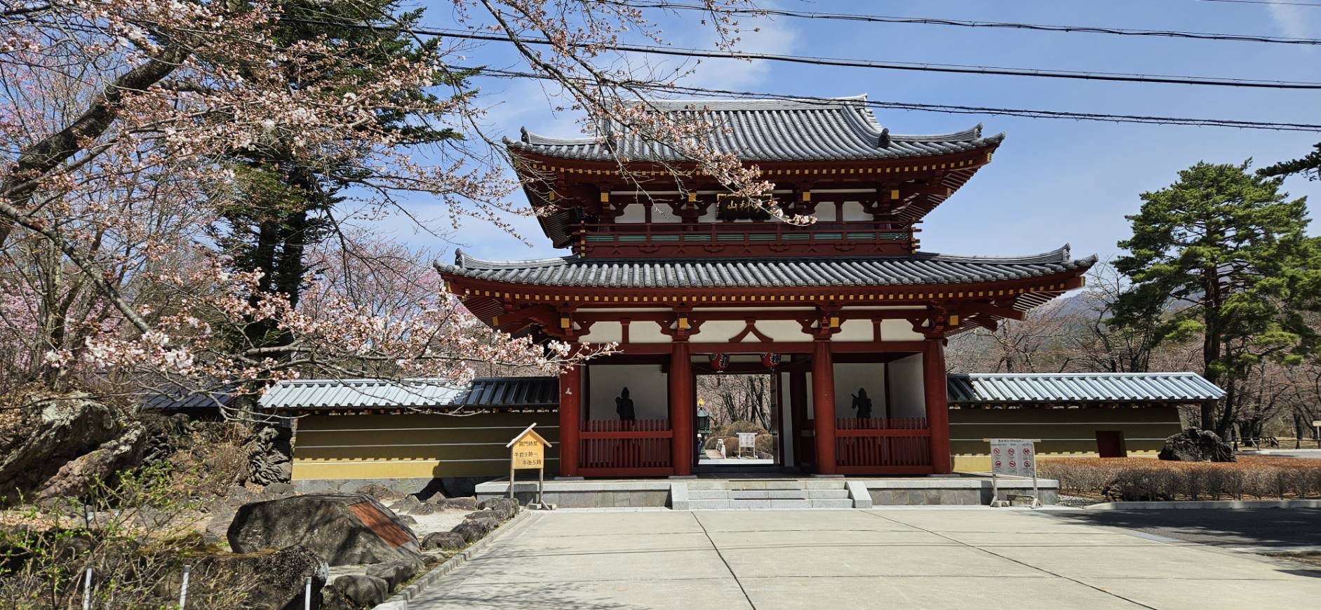 咲き始め