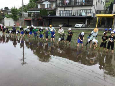 田んぼ