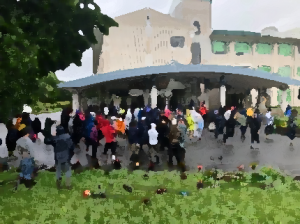 環境整備作業①