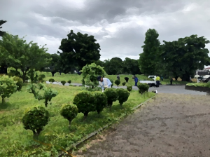 環境整備作業③