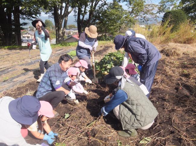 未就園児交流じゃがいも掘り