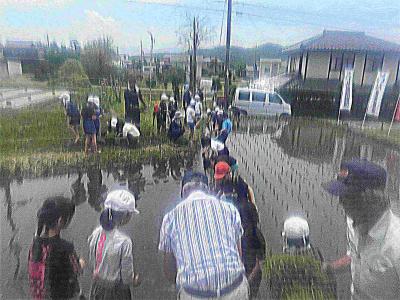 田植え1
