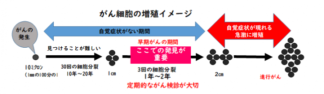 がん細胞の増殖