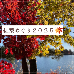 紅葉めぐり2025