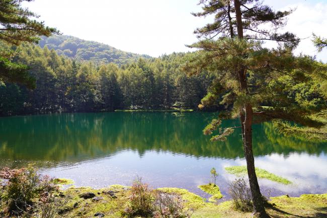 御射鹿池1 色づき始め