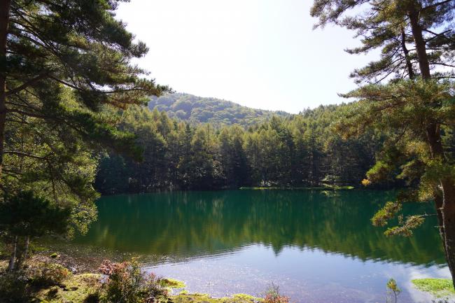 御射鹿池2 色づき始め