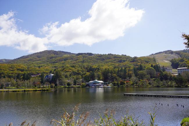 白樺湖2 色づき始め