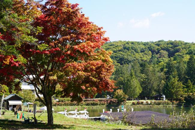 蓼科湖1 色づき始め