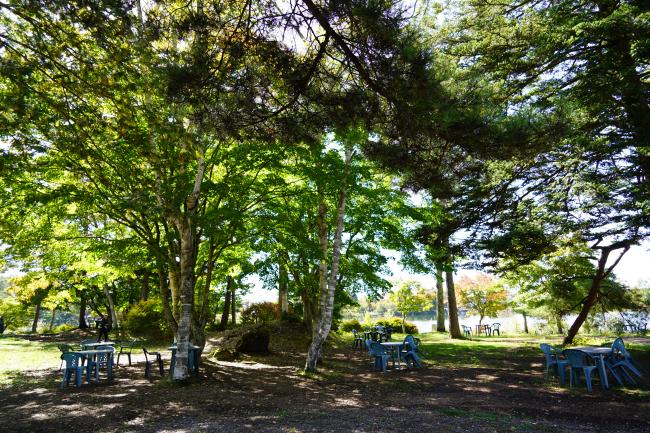 蓼科湖2　色づき始め