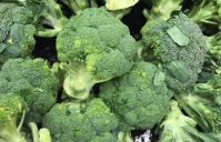 ブロッコリー