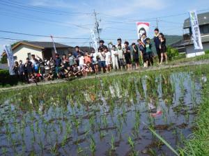 田植え