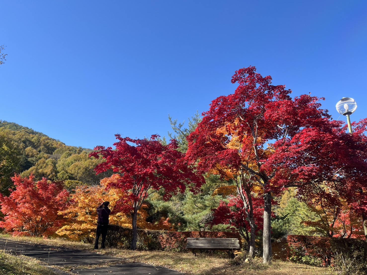 金沢公園