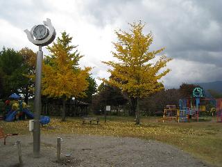 銀杏の紅葉の写真