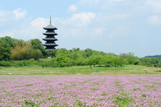 備中国分寺五重塔の写真