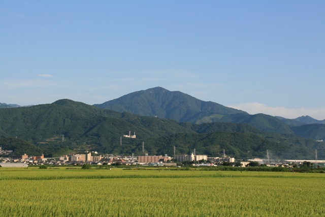 夏の大山