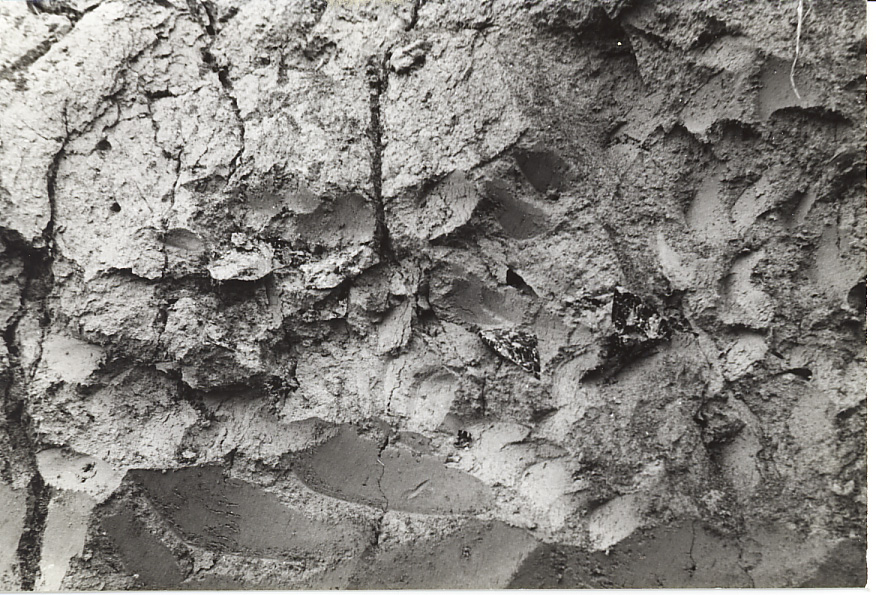 道路切通しローム面から出土した黒曜石の石器の写真