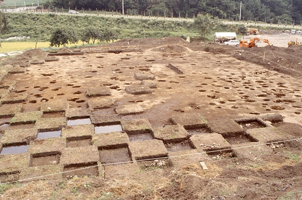 下ノ原遺跡の発掘区のようす写真