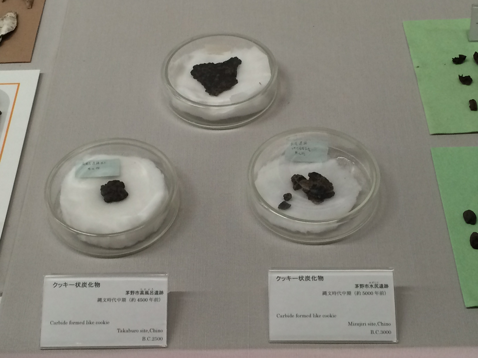 縄文時代の加工食品「クッキー状炭化物」