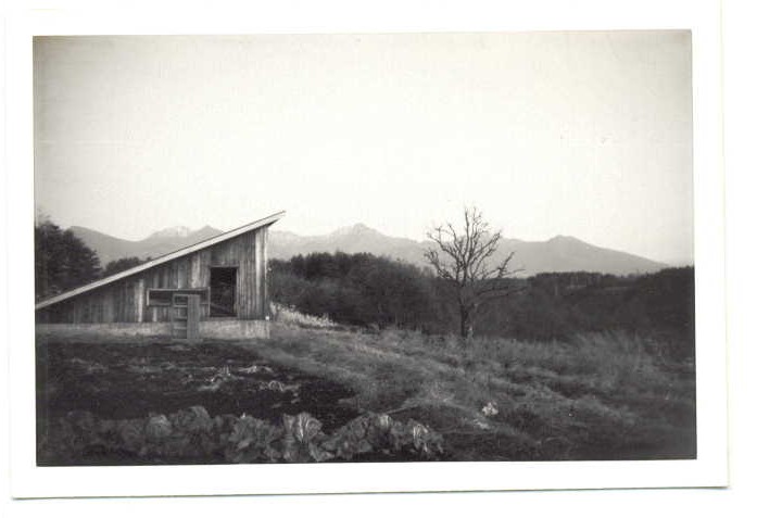 第33号住居の上に構築された保護のための建物の写真