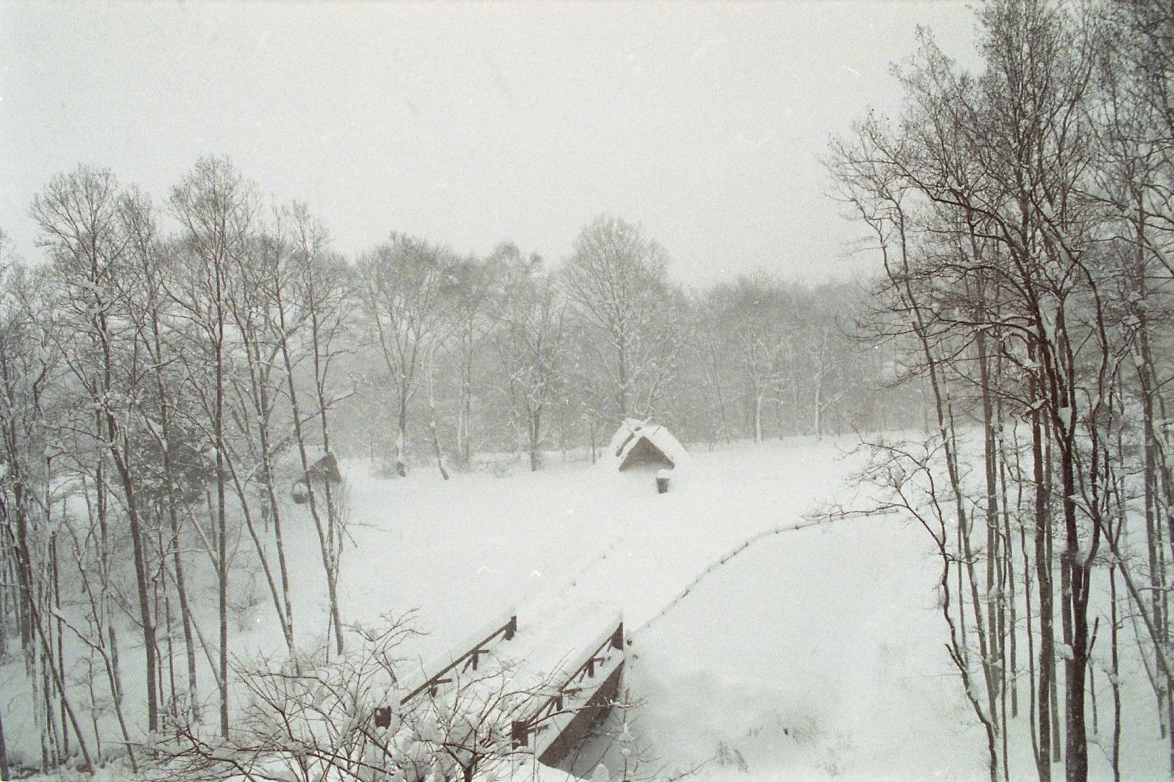 展望ギャラリーから見た復元住居の写真