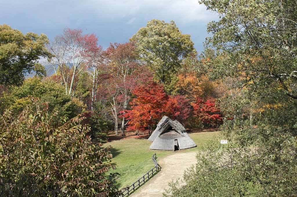 紅葉の頃の展望ギャラリーからの復元住居の写真