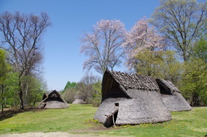 尖石縄文考古館隣接の与助尾根遺跡復元住居