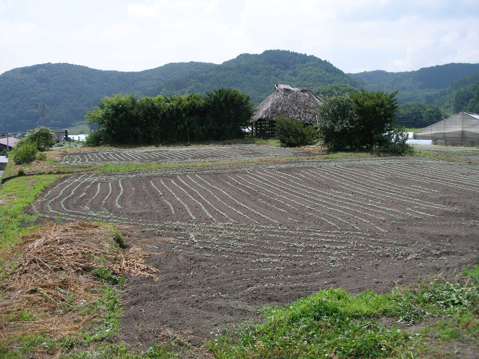 国史跡上之段遺跡