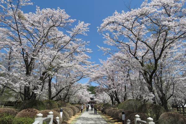 蓼科山聖光寺の写真