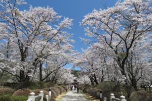 四季折々の花々に癒される