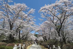 四季折々の花々に癒される