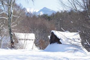 雪に埋もれる与助尾根遺跡の写真