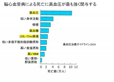 脳心血管病による死亡に高血圧が関与する