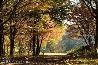 与助尾根遺跡　令和元年の秋の画像