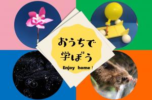 八ヶ岳総合博物館『おうちで学ぼう/enjoy home』