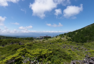 北横岳坪庭の画像