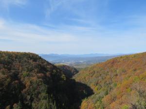 横谷峡の紅葉の様子