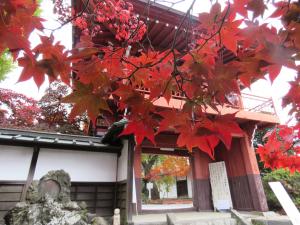 長円寺の紅葉の様子
